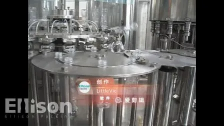 Bouteille en verre automatique pour animaux de compagnie Jus d'eau minérale CSD Boisson Liquide Emballage Remplissage Emballage Remplisseur Embouteillage Machine de cachetage